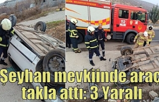 Şeyhan mevkiinde araç takla attı: 3 Yaralı