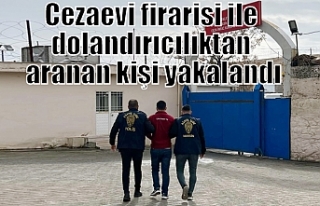 Cezaevi firarisi ile dolandırıcılıktan aranan...