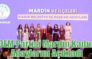 DEM Partisi Mardin Kadın Adaylarını Açıkladı