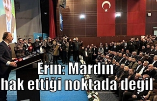 Erin: Mardin hak ettiği noktada değil