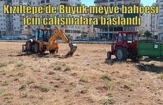 Kızıltepe’de Büyük meyve bahçesi için çalışmalara...