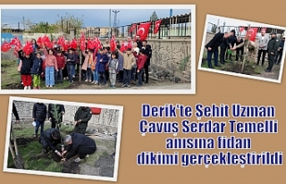Derik'te Şehit Uzman Çavuş Serdar Temelli...