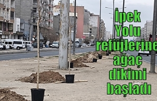 İpek Yolu refüjlerine ağaç dikimi başladı