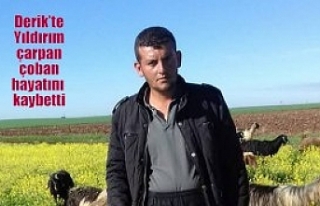 Derik’te Yıldırım çarpan çoban hayatını kaybetti