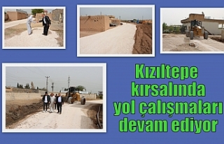 Kızıltepe kırsalında yol çalışmaları devam...