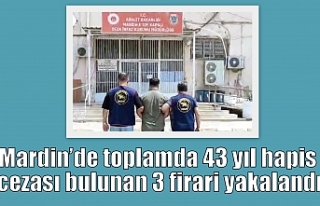 Mardin’de toplamda 43 yıl hapis cezası bulunan...