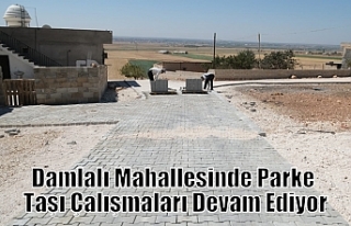 Damlalı Mahallesinde Parke Taşı Çalışmaları...