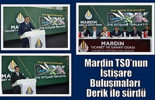 Mardin TSO’nun İstişare Buluşmaları Derik ile...