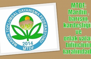 MTDF: Mardin, barışın, kardeşliğin ve ortak vatan...