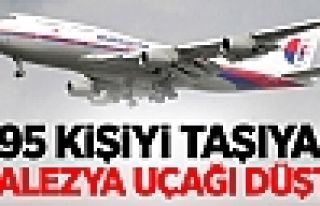295 Kişiyi Taşıyan Malezya Uçağı Düşürüldü