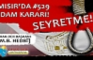 529 İNSAN İDAM EDİLİYOR, NEREDESİNİZ?