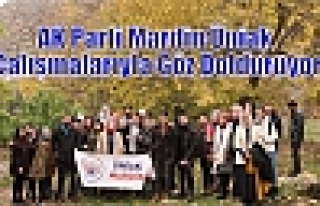 AK Parti Mardin Üniak Çalışmalarıyla Göz Dolduruyor