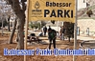 Babessor Parkı Çimlendirildi