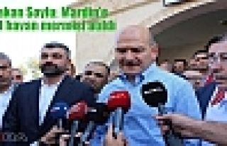 Bakan Soylu: Mardin'e 300 havan mermisi atıldı 
