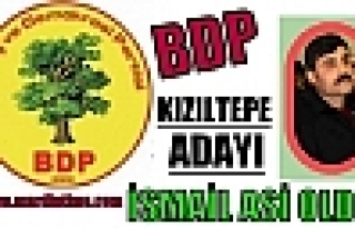 BDP KIZILTEPE ADAYI İSMAİL ASİ OLDU