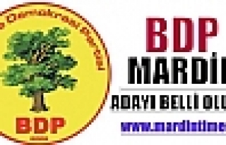 BDP MARDİN ADAYI 15 ARALIK ’DA BELLİ OLUYOR