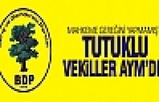 BDP'li tutuklu vekiller AYM'ye başvurdu!