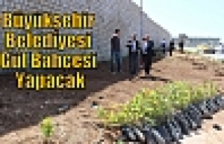 Büyükşehir Belediyesi Gül Bahçesi Yapacak