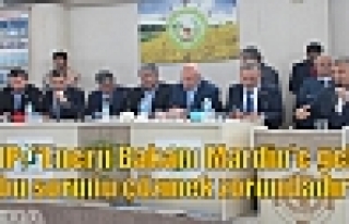 CHP: “Enerji Bakanı Mardin'e gelip bu sorunu çözmek...
