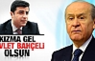 Demirtaş'tan Bahçeli'ye zeytin dalı