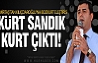 Demirtaş'tan Kılıçdaroğlu'na bozkurt eleştirisi!