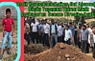 Derik Kaymakamı Kafkas, Dut Ağacından Düşüp...