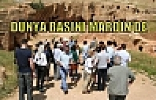 DÜNYA BASINI MARDİN’DE