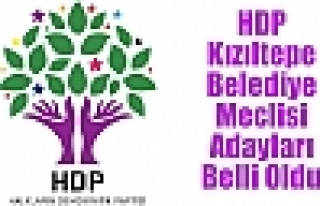 HDP Kızıltepe Belediye Meclisi Adayları Belli Oldu.