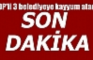 HDP'li 3 belediyeye kayyum atandı 