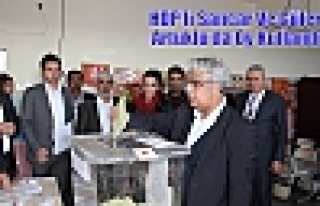 HDP’li Sancar Ve Güler Artuklu’da Oy Kullandı