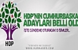 HDP'nin Cumhurbaşkanı adayı belli oldu
