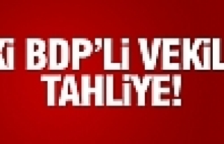 İki BDP'li vekile tahliye