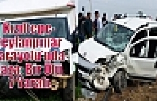 Kızıltepe-Ceylanpınar Karayolu’nda Kaza: Bir...