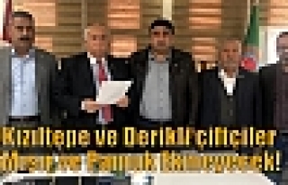 Kızıltepe ve Derikli çiftçiler Mısır ve Pamuk...