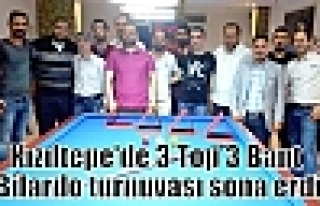Kızıltepe'de 3 Top 3 Bant Bilardo turnuvası sona...