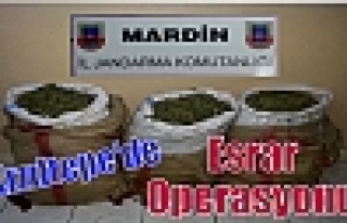 Kızıltepe'de Esrar Operasyonu