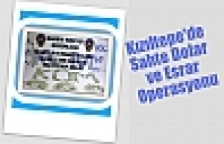 Kızıltepe'de Sahte Dolar ve Esrar Operasyonu