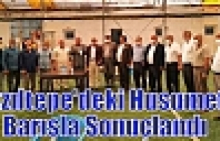 Kızıltepe'deki Husumet Barışla Sonuçlandı