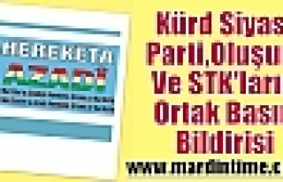 Kürd Siyasi Parti, Oluşum Ve STK'ların Ortak Basın...