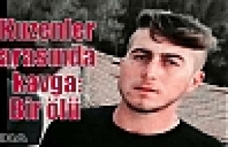 Kuzenler arasında kavga: Bir ölü  