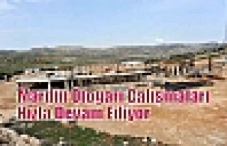 Mardin Otogarı Çalışmaları Hızla Devam Ediyor