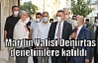 Mardin Valisi Demirtaş denetimlere katıldı