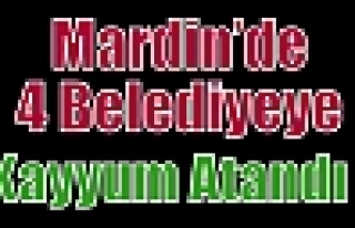 Mardin’de 4 Belediyeye Kayyum Atandı