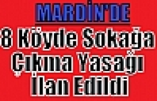 Mardin'de 8 Köyde Sokağa Çıkma Yasağı İlan...