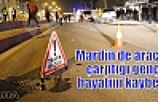 Mardin’de aracın çarptığı genç hayatını...