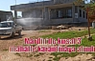 Mardin’de kırsal 3 mahalle karantinaya alındı...