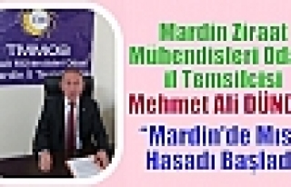 Mardin'de Mısır Hasadı Başladı