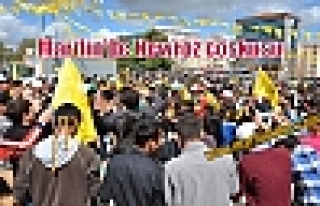 Mardin'de Newroz coşkusu