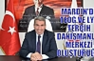 MARDİN'DE TEOG VE LYS TERCİH DANIŞMANLIK MERKEZİ...