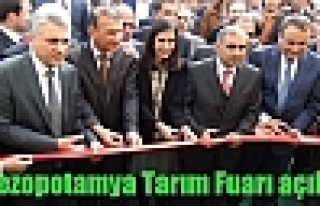 Mezopotamya Tarım Fuarı açıldı